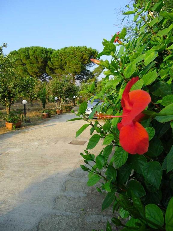 "Green" B&B Il Bracco Partinico Luaran gambar