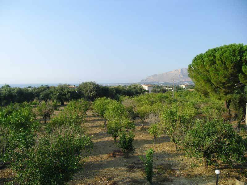 "Green" B&B Il Bracco Partinico Luaran gambar